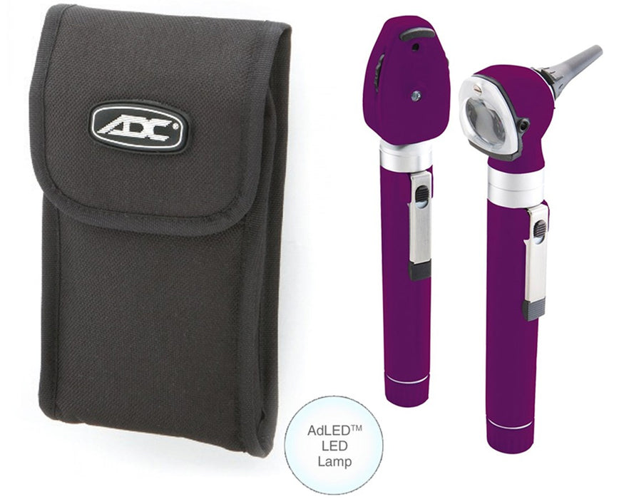 Premium Two Handle Pocket Diagnostic Set With LED Lamp, Soft Case, Purple
