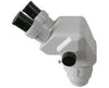 Zoom Stereo Body Microscope