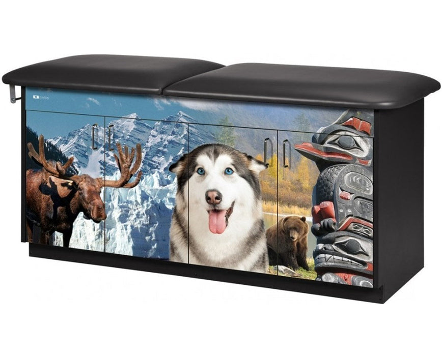 Pediatric Cabinet Treatment Table w/ Adjustable Backrest. Adventure / Imagination