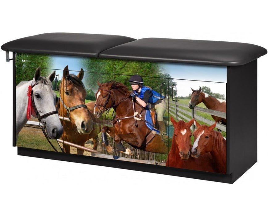 Pediatric Cabinet Treatment Table w/ Adjustable Backrest. Adventure / Imagination