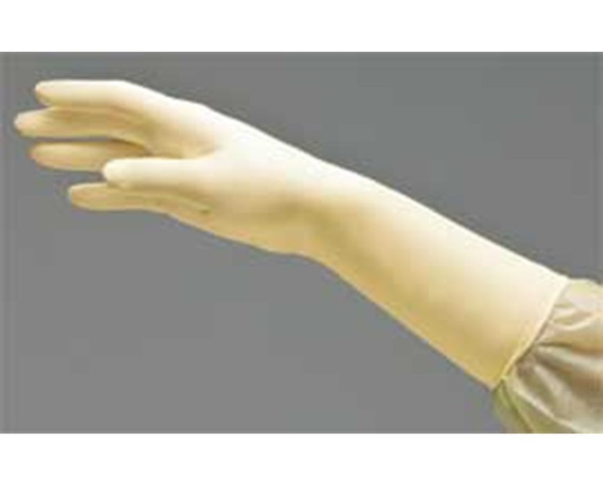 Dermassist Powder-free Sterile Latex Exam Gloves: Large - 200/cs