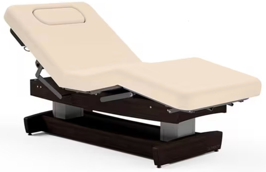 ADA Compliant Performalift Power Hi-Lo Massage Table w/ Adjustable Back & Salon Top