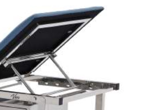 Treatment Table w/ Adjustable Back, Drawers, Paper Dispenser & Antimicrobial Upholstery