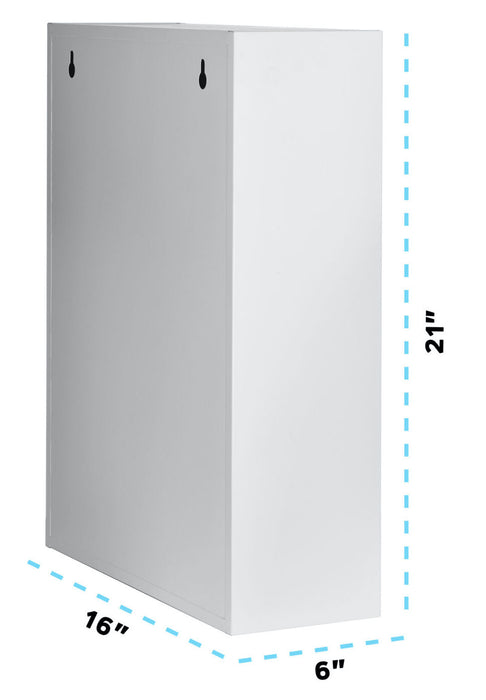 Dual Lock Medicine Cabinet w/ Pull-Out Shelf & Document Pocket