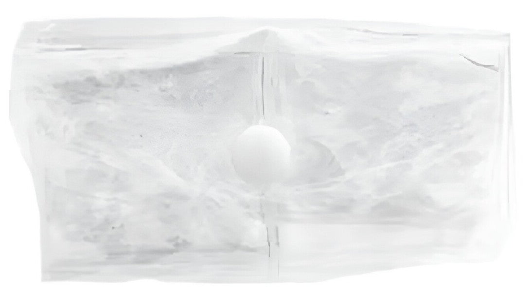 Accessory Pouch for Sprague Scope, Clear