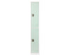 Large 2 Door Locker. Misty Green