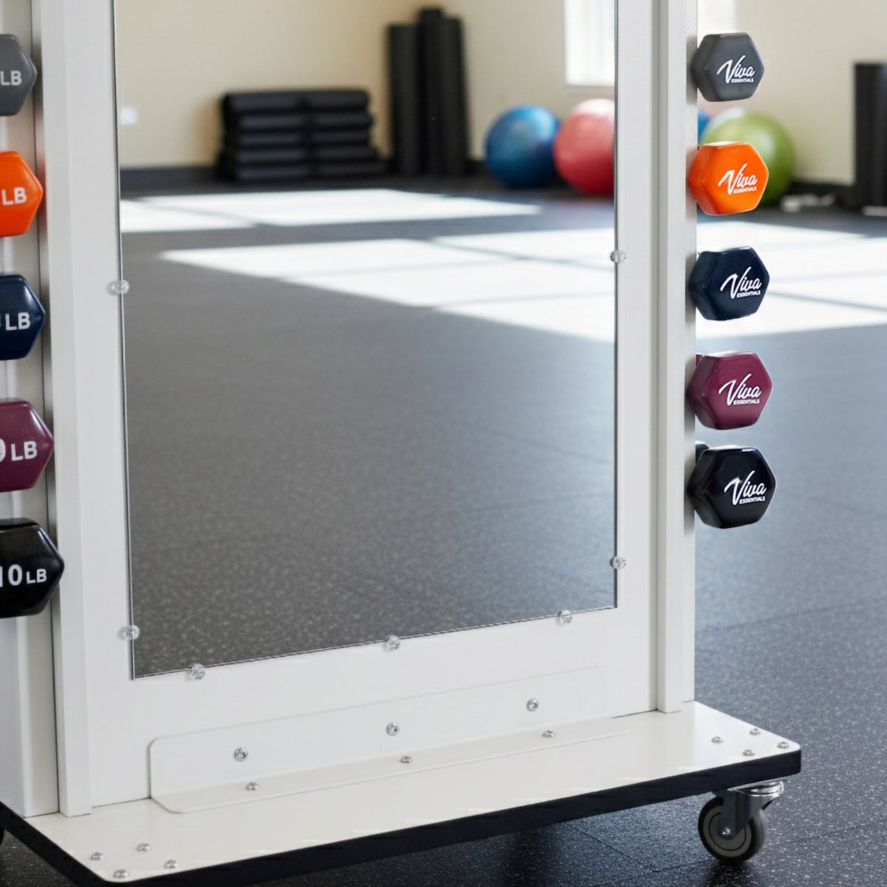 Viva Comfort Weight Rack w/ Mirror - Physical Therapy. Save at ...