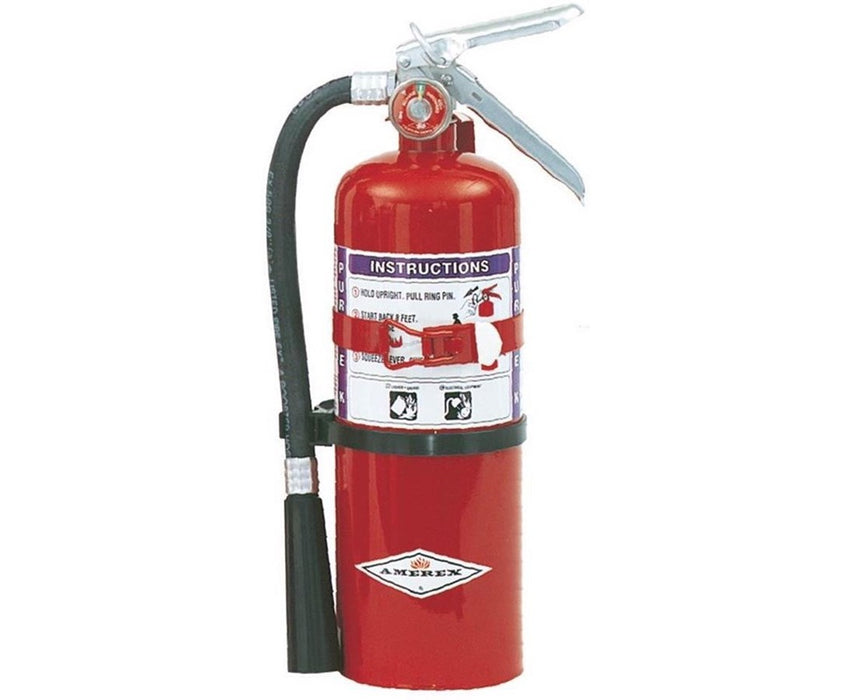 5 lbs Purple-K Fire Extinguisher w/ Aluminum Valve (Class B:C) Chrome