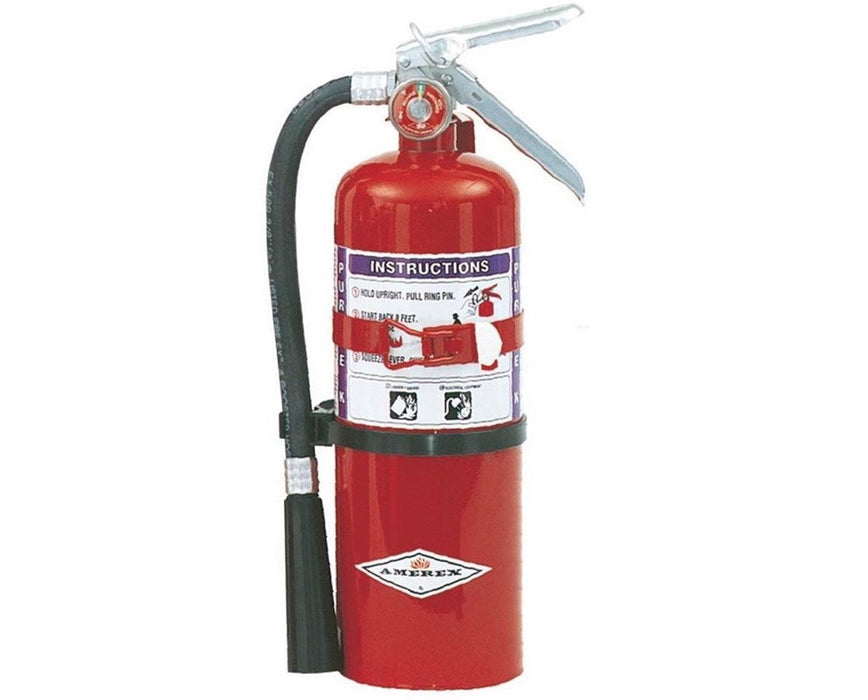 5 lbs Purple-K Fire Extinguisher w/ Aluminum Valve (Class B:C) Red