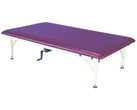 Bariatric Hi-Lo Rehab Therapy Table. Flat Top