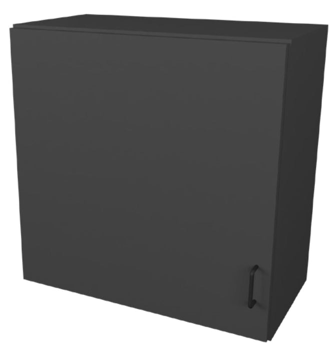 24"W Wall Cabinet. 18"D x 24"H. Right Hinge Door [Stor-Edge]