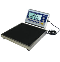 BMI Scale