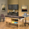 Classic Exam Room Furniture Package. Fashion Finish [Table, Cabinets & More. Ready Room]