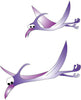 Wall Sticker - Pterodactyls Complete Coordinating Graphics