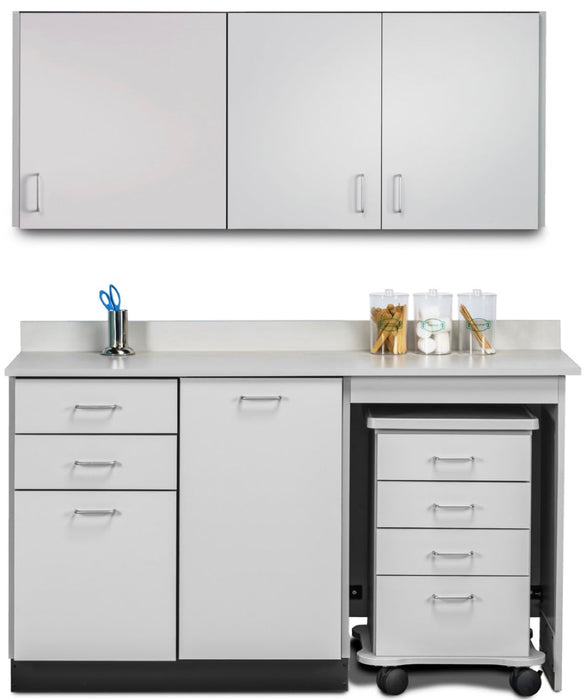 Wall & Base Cabinet Package w/ Mobile Cart-Mate on Right. 60"W. Door in Center