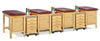 Sports Classic 5-Seat Taping Treatment Station w/ Door, Drawer & Cart-Mate
