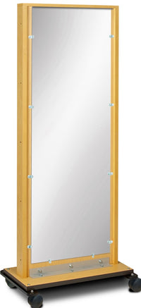 Mobile Treatment Mirror. Adult for Physical Therapy