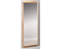 Wall Mounted Mirror for Physical Therapy