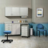 Furniture Package: Includes Wall & Base Cabinet w/ Mobile Cart-Mate on Right. 66