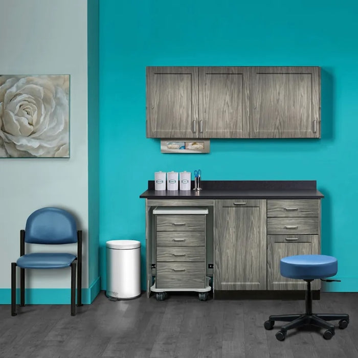 Furniture Package: Includes Wall & Base Cabinet w/ Mobile Cart-Mate on Left. 60"W. Door in Center. Fashion Finish Ready Room My Way