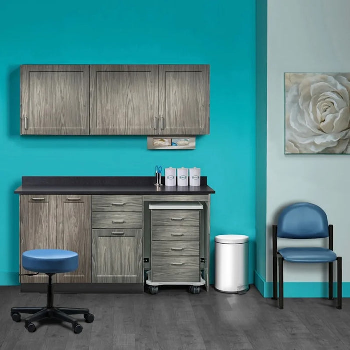 Furniture Package: Includes Wall & Base Cabinet w/ Mobile Cart-Mate on Right. 66"W. Double Doors on Left. Fashion Finish Ready Room My Way