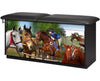 Pediatric Cabinet Treatment Table w/ Adjustable Backrest. Adventure, Equestrian