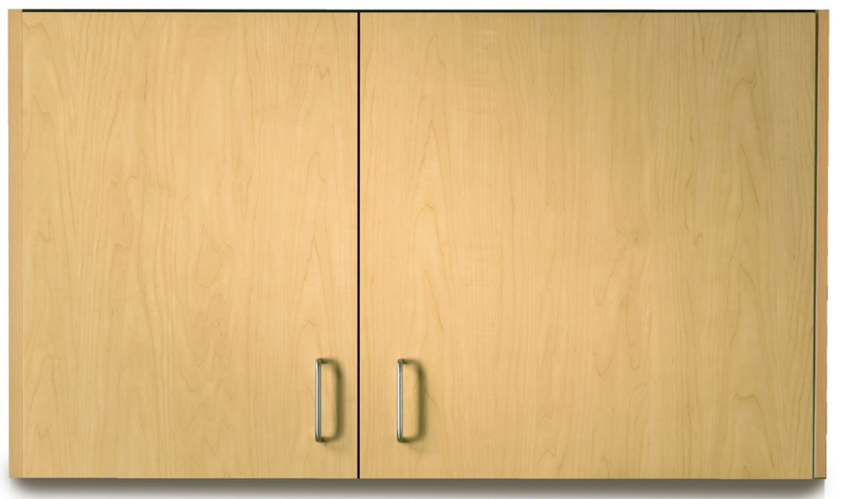 42"W Wall Cabinet w/ 2 Doors