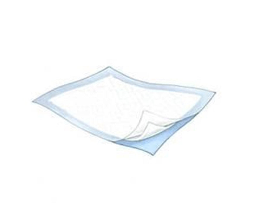 DURASORB Disposable Underpads - 23" x 24", 200 ct. - 200/cs