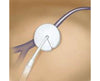 Kendall AMD Antimicrobial Foam Discs, 1
