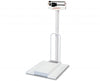 Stationary Mechanical Wheelchair Scale