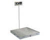 Bariatric Solace In-Floor Dialysis Scale 48