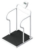 Bariatric ADA Compliant Handrail Scale