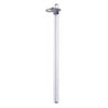 Height Rod Assembly For DS5100 Scale