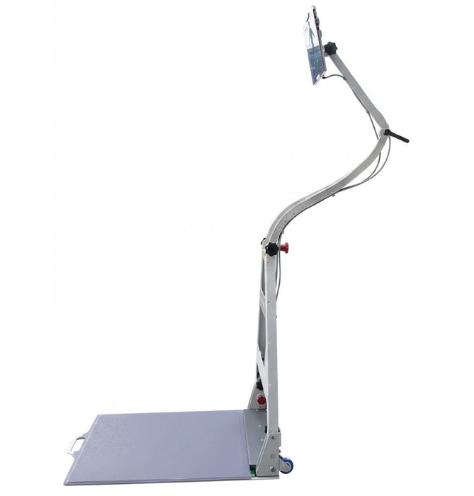 DST Sense of Balance Assessment w/ Romberg Test & Pressure Mapping