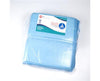 Disposable Underpads 17 x 24 [22 gram] (100/bg, 3 bg/cs: Total 300/cs)