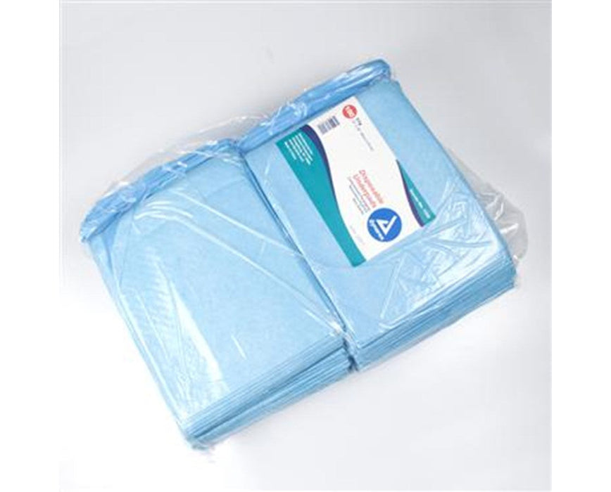 Disposable Underpads 23 x 24 (31 gram)