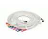 10-Lead Cable for DP12 Wired ECG Sampling Box / SE-3 Series ECG. Snap Style