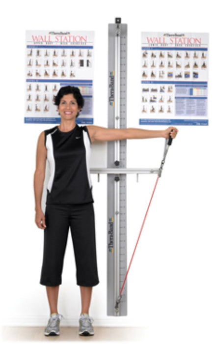 Professional Wall Exercise Station. Wall Section