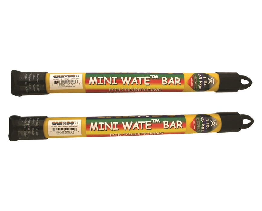 Mini Wate Weight Bar 1 lb each, Pair