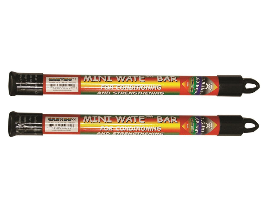 Mini Wate Weight Bar 1.5 lb each, Pair