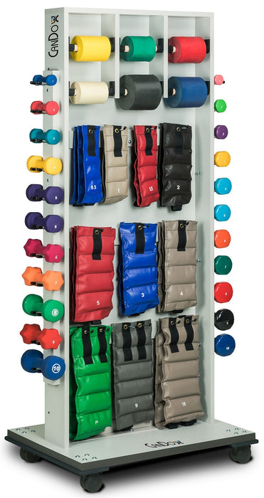 Mobile Weight Rack & Mirror w/ 10 Dumbbells (1 to 10 lbs. 1/ea) for Physical Therapy