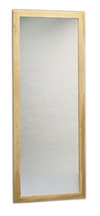 Wall-Mounted Plate Glass Mirror for Physical Therapy