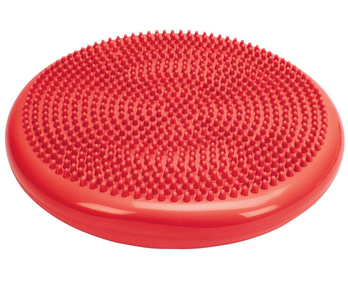 Sitting & Standing Balance Disc. 24
