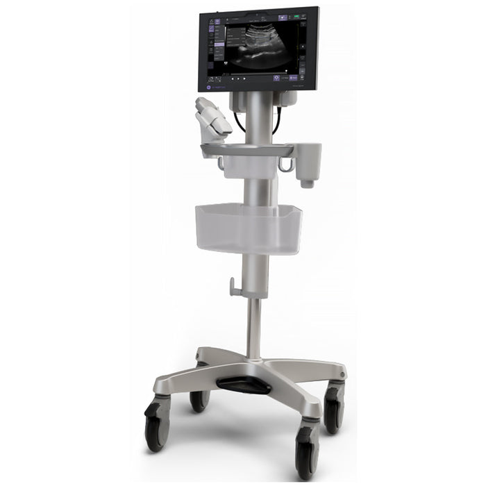 Venue Sprint Ultrasound