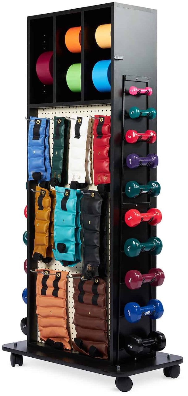 Hausmann Multi-Purpose Combination Weight Rack. Save at Tigermedical ...