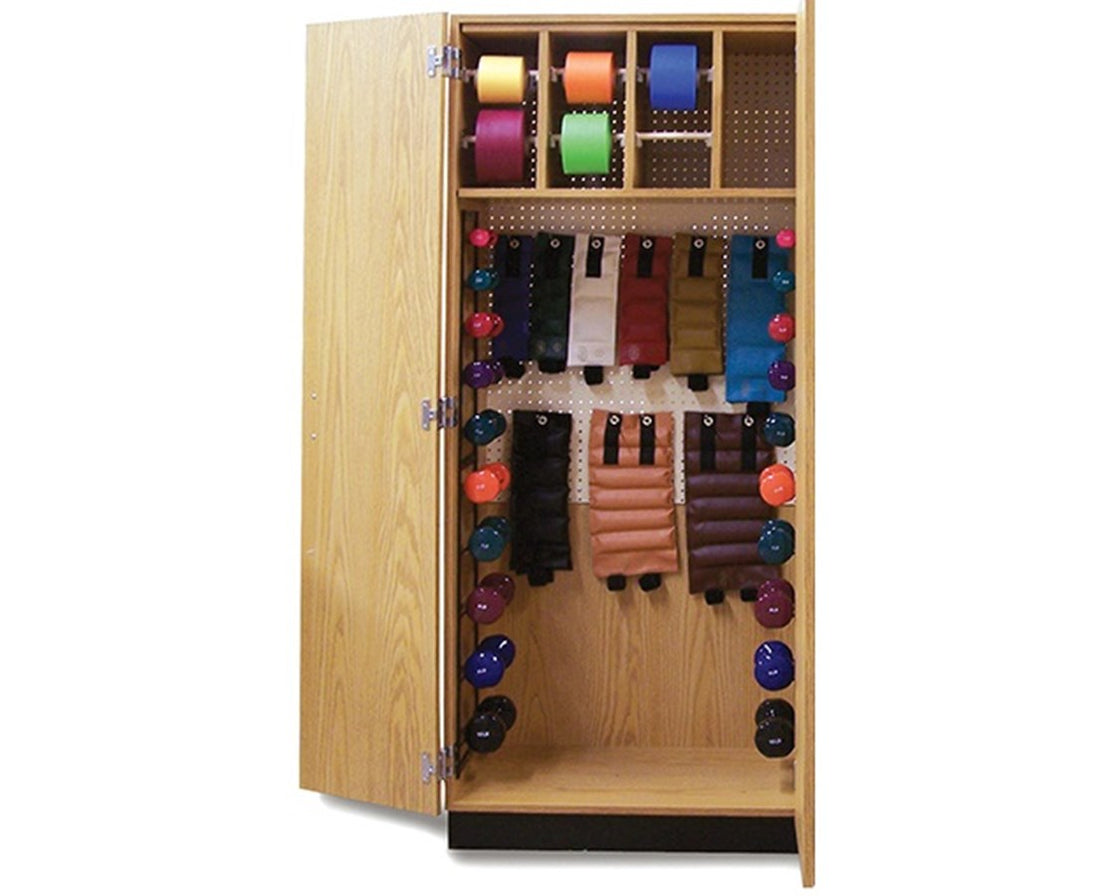 Physical Therapy Rack Hausmann Thera-Wall Therapy Storage System Cabinet. Save at ...