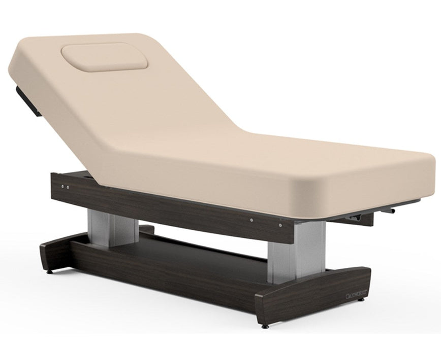 Performalift Power Hi-Lo Massage Table w/ Adjustable Back