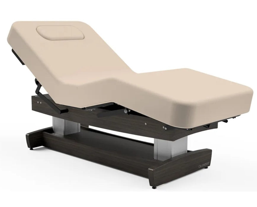 Performalift Power Hi-Lo Massage Table w/ Adjustable Back & Salon Top