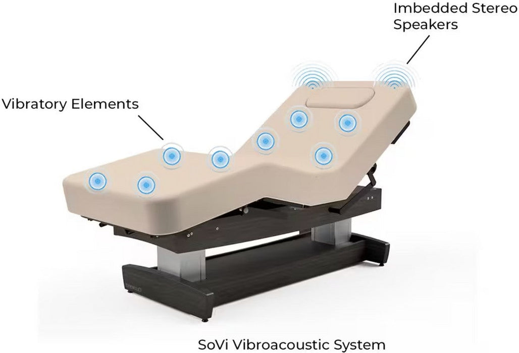 Performalift Power Hi-Lo Massage Table w/ Adjustable Back Salon Top [Bariatric Option]