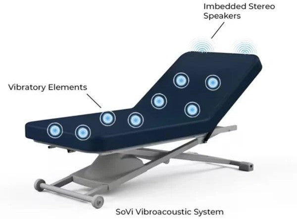Proluxe Power Hi-Lo Massage Table w/ Adjustable Back Salon Top [Bariatric Option]